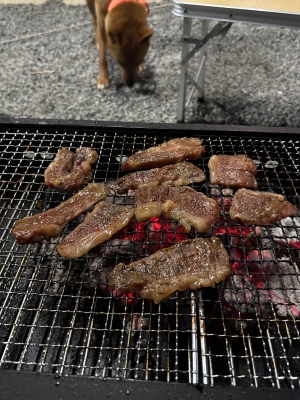 火を見つめ心を落ち着けるってハナシ。