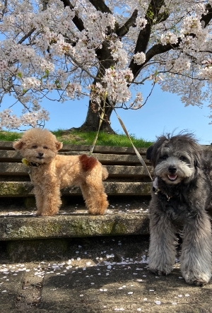 当店が求める人材と報酬について