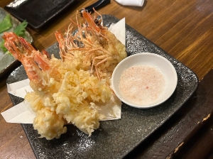 五稜郭の桜がもう咲いています