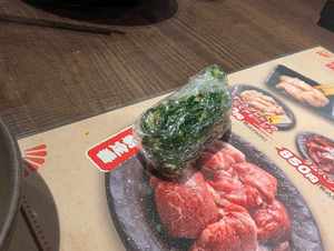 白竜さん見ていますか。