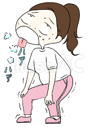 朝昼夜
