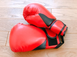 キックボクシング🥊