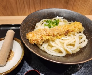 【山下本気うどん】本気出せなかった
