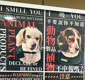 台湾の検疫探知犬ポスター