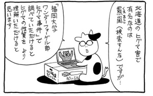 熊文学を読もう🐻