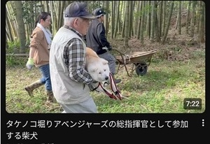 山菜採りで高齢者が行方不明になる季節です
