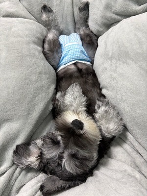 爆サイ💣誹謗中傷・・