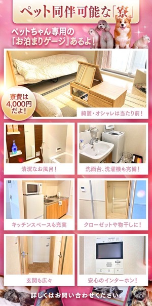 ペット同伴が可能な寮をご紹介🐩