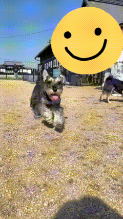 オキニトークって効果あるの？？