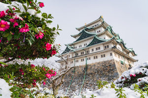 涼泉は名古屋にあります