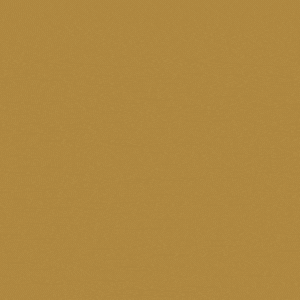 新しい一歩を踏み出す季節🌸✨