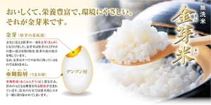 主食でも栄養を