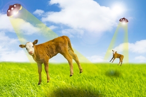 センスの良さが光る！！