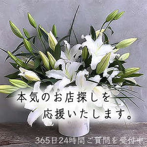 ✧本気のお店探し。