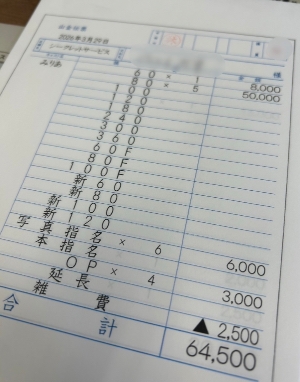 全モザでも大丈夫！