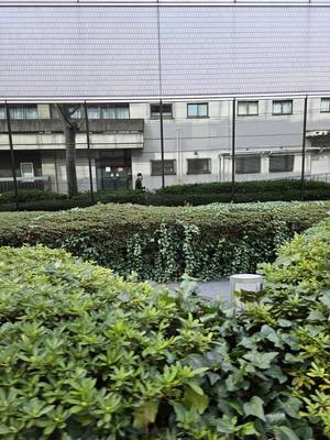 出勤💦出勤💦