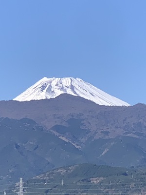 店ガチャに失敗しないで