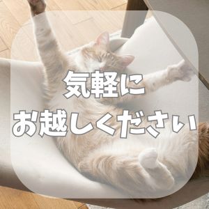 🌸【面接準備】履歴書は不要！手ぶら」で気軽にお越しください✨