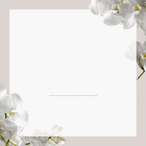 🍀今からでも遅くない？と感じているあなたへ🌸