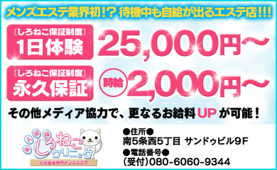 しろねこ
