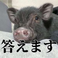 はぁとぶる